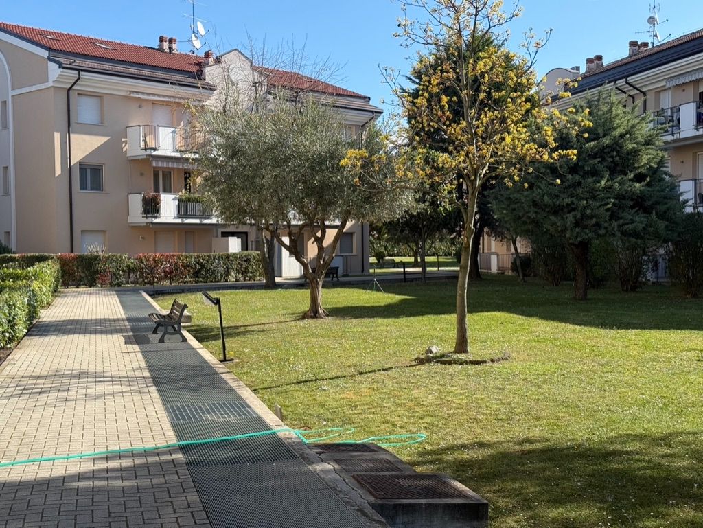 Giardino condominiale curato con ulivi, prato e vialetto verso la piscina – residence a Sirmione